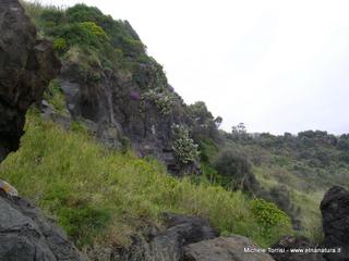 Acque_Grandi - 21-09-2014 17-52-57.jpg